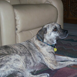 Fundraising Page: Jan Trask